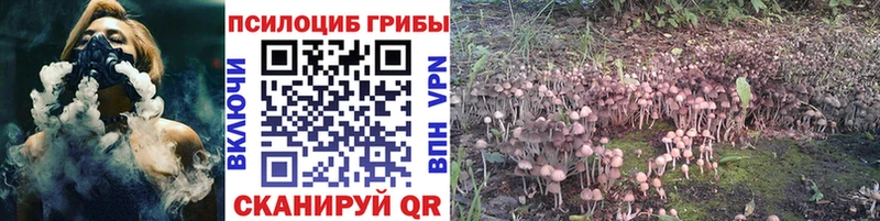 Галлюциногенные грибы MAGIC MUSHROOMS Бирск